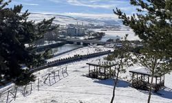 Erzurum, Ardahan, Ağrı ve Kars'ta soğuk hava etkili oluyor