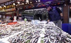 Doğu Karadeniz'de balıkçılar hamsi bolluğu için soğuk havayı bekliyor