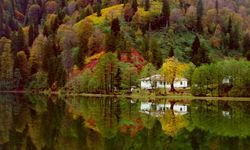 Yeşilin başka tonunun yaşandığı şehir Artvin