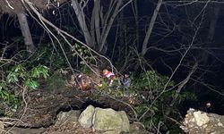 Artvin'de ormanda ağaç keserken uçurumdan düşen kişi öldü