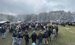 Beyaz örtüyle kaplanan Abant Gölü Milli Parkı'nda hamsi festivali düzenlendi