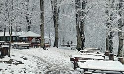 Samsun'un yüksek kesimlerinde kar yağışı etkili oldu