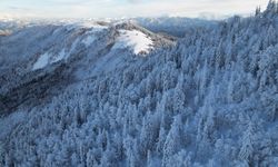 Sezon hazırlıkları tamamlanan Atabarı'nda kayak için yeterli kar bekleniyor