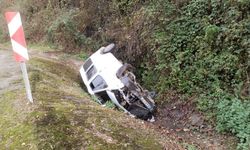 Trabzon'da minibüsün şarampole devrildiği kazada sürücü yaralandı