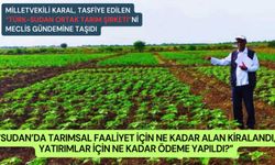 Karal,Tasfiye Edilen Türk-Sudan Ortak Tarım Şirketini Meclis Gündemine Taşıdı