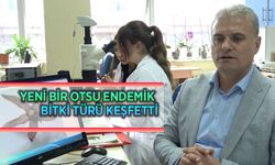 RTEÜ Akademisyenleri Yeni Bir Otsu Endemik Bitki Türü Keşfetti