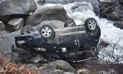 Artvin'de otomobilin dereye yuvarlandığı kazada sürücü yaralandı