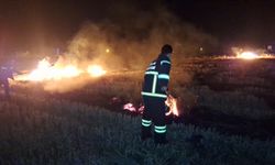 Samsun'da çıkan yangında 40 hektar tarım arazisi zarar gördü