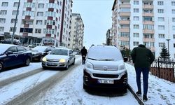 Erzurum, Ardahan, Kars ve Van'da kar yağışı ve soğuk hava etkili oluyor