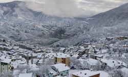 Artvin'de kar ve sağanak hayatı olumsuz etkiledi