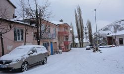 Tokat'ın Başçiftlik ilçesinde kar etkili oldu