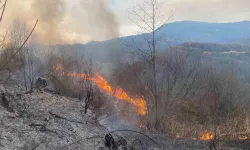 Artvin’de orman yangını 1 hektar alan yandı