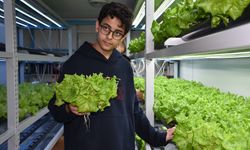 Meslek lisesi öğrencileri topraksız tarımla sebze yetiştiriyor