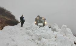 Giresun'da yayla yollarında karla mücadele devam ediyor
