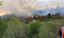 Trabzon-Giresun sınırındaki örtü yangını kontrol altına alındı