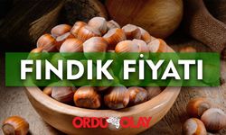 Güncel Fındık fiyatları ne kadar oldu? İşte 11 Nisan Perşembe il il fındık fiyatları