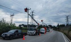 SEDAŞ, leyleklerin göç yolundaki elektrik direklerinde izolasyon çalışmalarını tamamladı