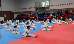 Akçaabat’ta Karate Şöleni Yapıldı