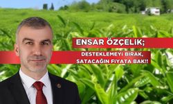 Özçelik “Yaş Çay Fiyatını Düzeltin“