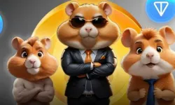 Hamster Kombat Günlük Kombinasyon Şifresi: İşte 28 Haziran 2024 Detayları!