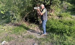 Fotoğrafladığı kuş türlerini kitapta bir araya getirdi