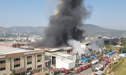 GÜNCELLEME - Samsun'da iki fabrikada etkili olan yangın söndürülmeye çalışılıyor