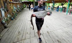 Melen Çayı'nda avlanan amatör balıkçının oltasına 52 kilogramlık yayın takıldı