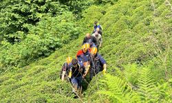 Rize'de kestiği ağacın altında kalan kişi yaralandı