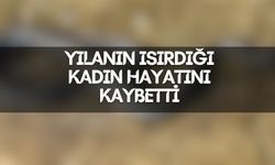 Artvin'de yılanın ısırdığı kadın hayatını kaybetti