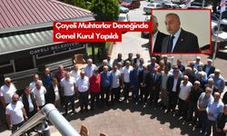 Çayeli Muhtarlar Derneği başkanını seçti