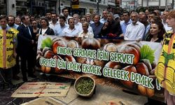 CHP heyetinden fındık fiyatına ilişkin açıklama! Eyleme Rize İl Başkanı Saltuk Deniz'de katıldı!