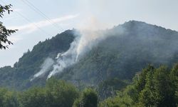 Kastamonu'da çıkan yangına havadan ve karadan müdahale ediliyor