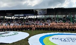 Ordu'da, Perşembe Yaylası Festivali devam ediyor