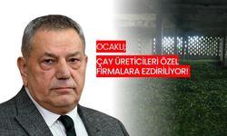 Çay üreticileri özel firmalara ezdiriliyor!