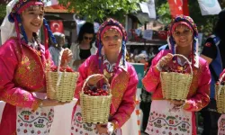 Tekirdağ festival ve şenlikler nelerdir? Tekirdağ'da en güzel şenlik hangisi?