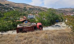 Çorum'da ormanlık alanda çıkan yangın büyümeden söndürüldü