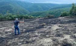 Karabük'te anız yangını söndürüldü