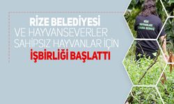 "Rize Belediyesi ve Hayvanseverler, Sahipsiz Hayvanlar İçin İşbirliği Başlattı"