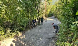 Çamlık Mahallesi Mezra Sokak'ta Kapsamlı İyileştirme Çalışmaları Başladı