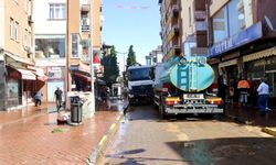 Taşkın ve heyelan meydana gelen Araklı'da temizlik çalışmaları sürüyor