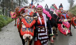 Doğu Karadeniz yaylalarında besicilerin dönüş yolculuğu başladı