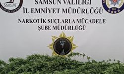 Samsun'da uyuşturucu operasyonu