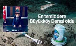 Doğu Karadeniz'deki plastik kirliliğinin boyutu dip çamurunda ortaya çıktı