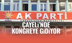 Çayeli İlçe Başkanı kim olacağı merakla bekleniyor!