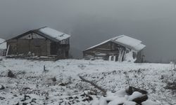 Rize'nin yüksek kesimlere kar düştü