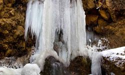 Palu nerenin ilçesi, nerede, hangi şehirde? Palu nasıl bir yer?