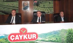 ÇAYKUR'da 2024 yılı yaş çay sezonu sona eriyor