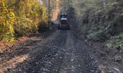 Beşikdüzü Belediyesi'nden Yol Bakım ve Onarım Çalışmaları