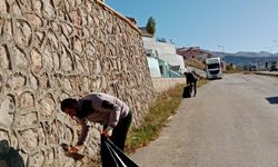 Bayburt Belediyesi Çoruh Nehri Kenarında Ağaçlandırma Çalışmalarına Devam Ediyor