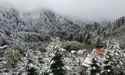 Rize'nin yüksek kesimleri kar yağışı sonrası beyaza büründü